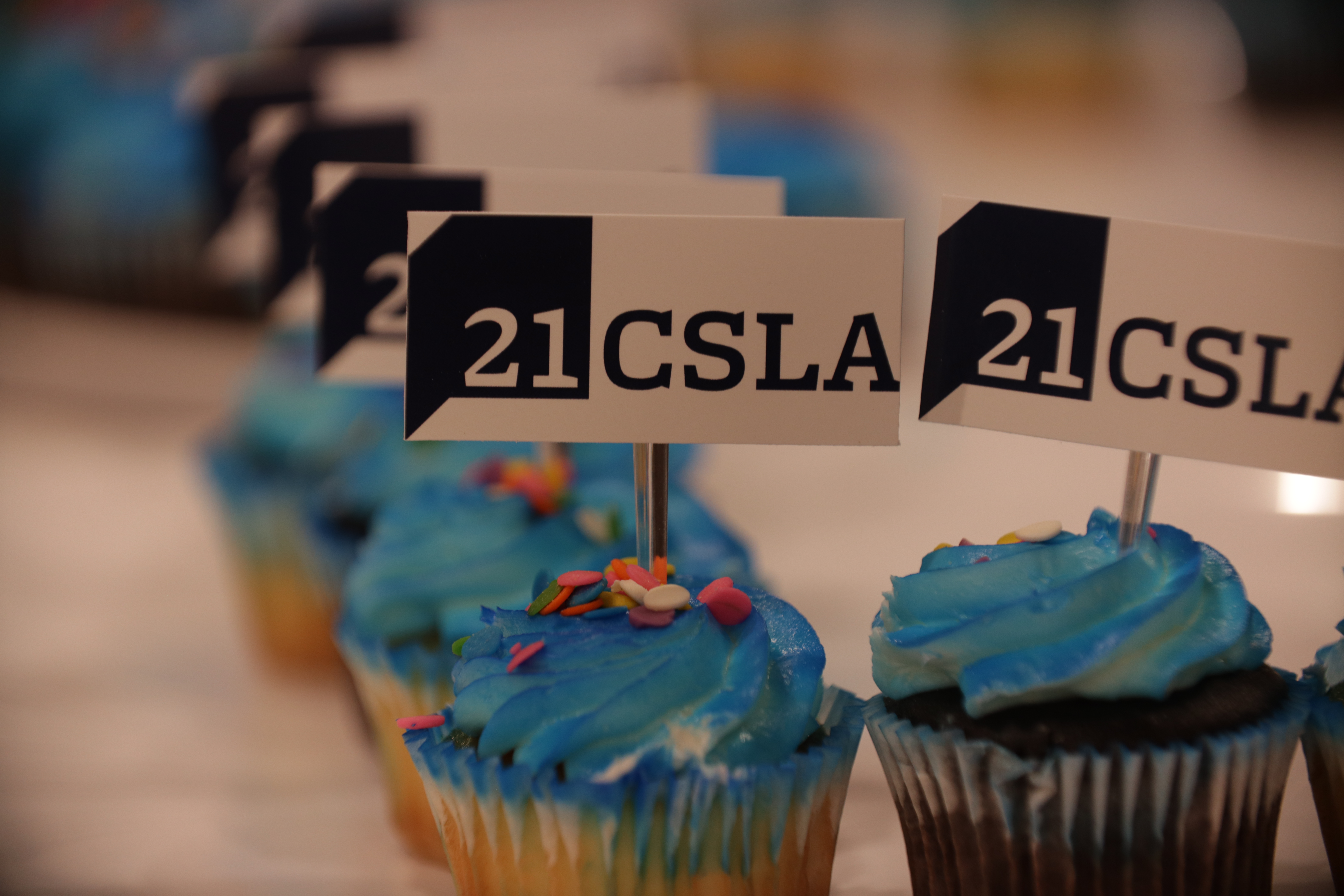 Cupcake with 21CSLA Logo Flag